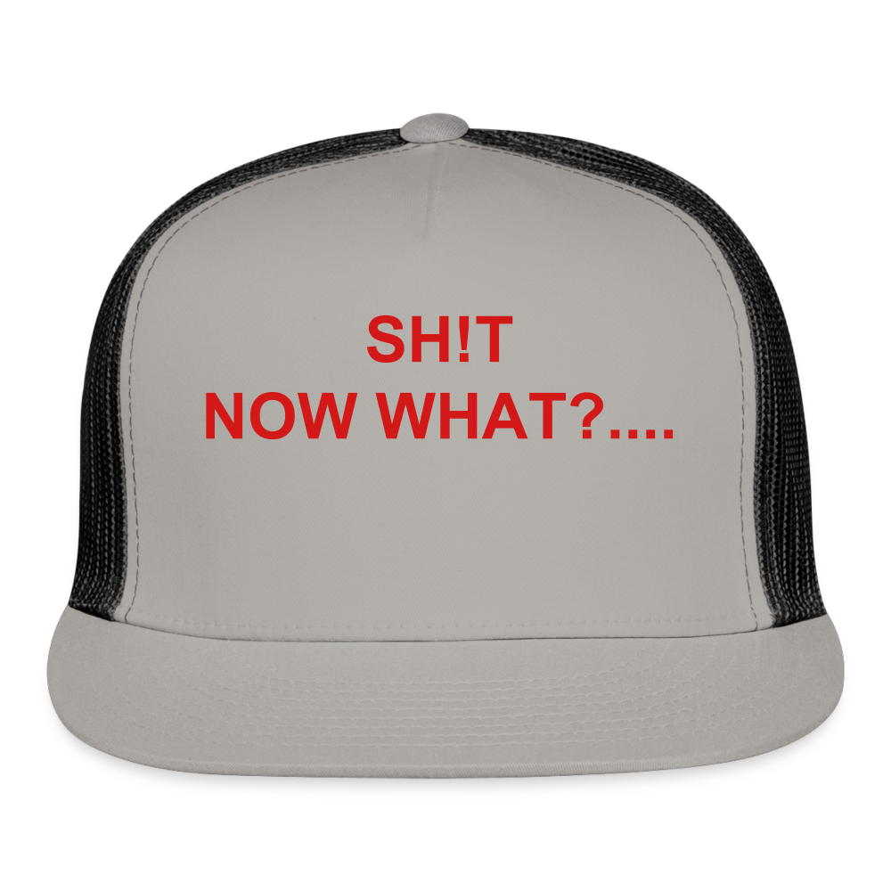 Trucker Cap SH!T NOW WHAT - gray/black